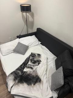 apartment in downtown Mexico City - 8