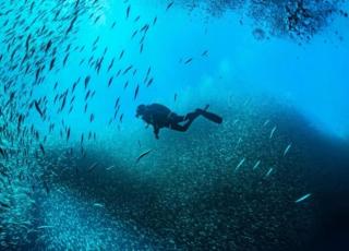 Shivaya AC & Non Ac Stay - 2