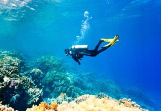 Shivaya AC & Non Ac Stay - 1