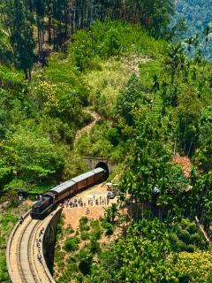 Green Nature Paradise Ella - 8