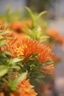 Luangprabang Sadakham Blue Hotel - 3