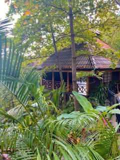 Pilates Nosara - Playa Guiones - 6