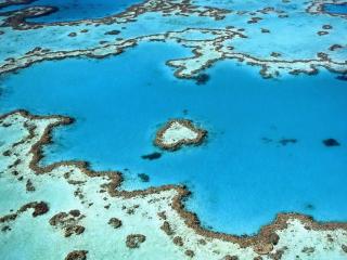 Mermaids Mango House - 4