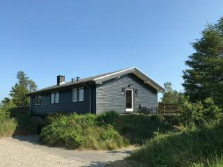 Summer House Close To Nature Near Slettestrand - 0