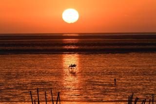 Haus Horizont I HZ06 - 1