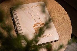 Lilla Loimu, Ruka 2 skipasses RUKA-PYHÄ included, skibus doorstep - 7