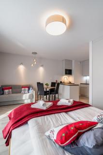 210 - Apartament Zakopiański Studio - Sauna & Jacuzzi & Plac Zabaw & Siłownia - 3