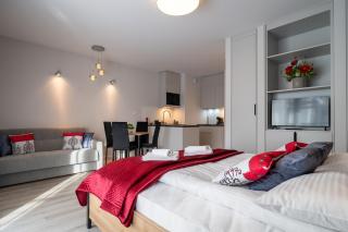 210 - Apartament Zakopiański Studio - Sauna & Jacuzzi & Plac Zabaw & Siłownia - 5