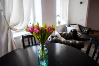 V 18 - Superior & Great views to Vokieciu street - 5