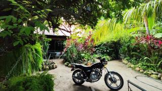 Guatiguara dónde Orlando - 0