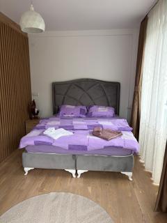 Stan na dan Pogled na reku - 9