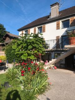 Le Carnotzet Du Lac - Hauts D'evian - 8