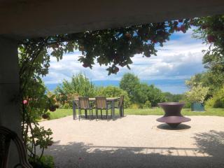 Le Carnotzet Du Lac - Hauts D'evian - 7