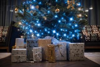 Hotel D Bulle - La Gruyère - 6