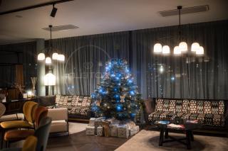 Hotel D Bulle - La Gruyère - 5