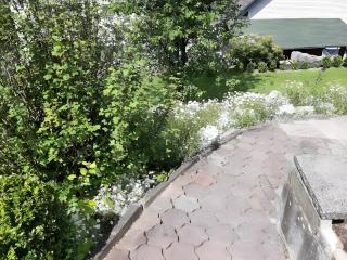 Gierske Feienwohnung - 5