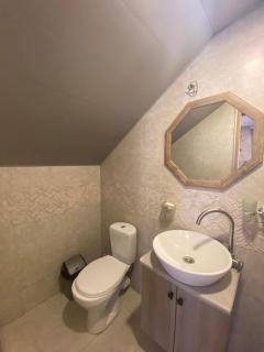 Borjomi Cottages in tsemi - 4