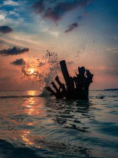 La Plage Maldives - 1