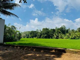 Villa Coconut Tree - 2