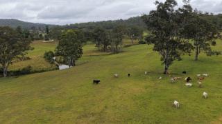 Tiny Cowboy by Tiny Away - 8