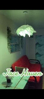 Jace Haven Free Dinner - 7