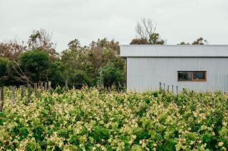 Basalt Wines Retreat - 5