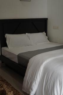 Elephant Shadow Wayanad - 1