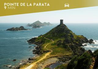 Les Sanguinaires N31 - T2 Vue Mer, Piscine, Plage - 8