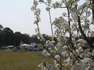 Tiny Away Escape at Granite Belt - Sommerville Valley Campsites - 1