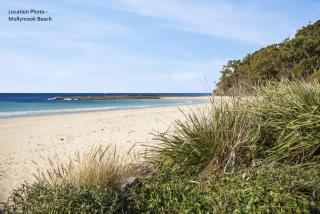 Fathoms 2 - 2BR beach resort apartment - 1