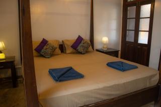 Laguna Beach Garden - 5