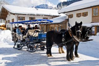 Hotel-Gasthof Mauthäusl - Weißbach - 5