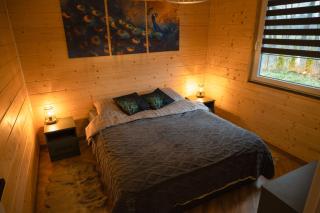 Azyl - domki wśród natury - 9