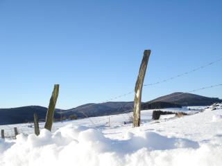 Lauras - Landhauspension - 6