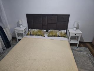 Nicolae Romanescu et 2 - 2