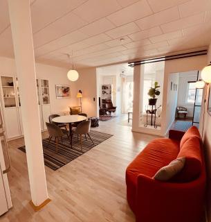 Hyggelig og stille lejlighed 100 m fra torvet - 6