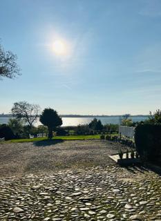 Hyggelig og stille lejlighed 100 m fra torvet - 5