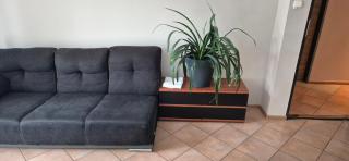 Lotta autobus na targi MTP, darmowy parking, samodzielny meldunek - 4