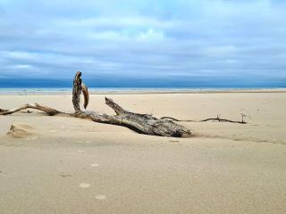 8 person holiday home in Bindslev-By Traum - 8