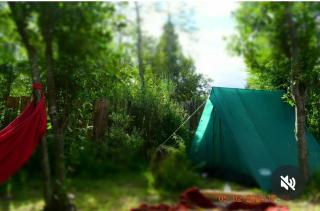 Refugio Holístico Flora Boreal - 6