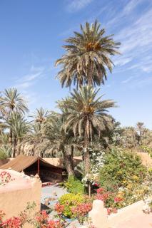 La Maison de l'Homme Bleu - 8