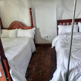 Ruhija Gorilla Guest House - 9