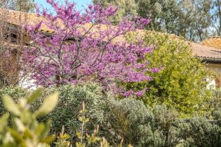 Agriturismo Canova - Private Villas - 3