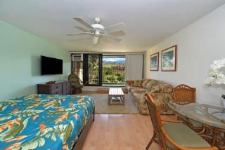 Kaleialoha 402 · KA 402 Spacious Studio Close to Ocean Heated Po - 7