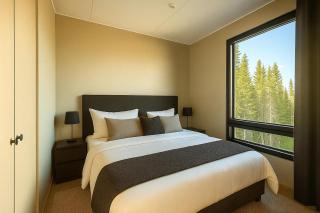 Arctic Echo D19 Ski-in Ski-out by Aavalevi - Levi - 9