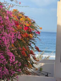 Adan appartement - 6