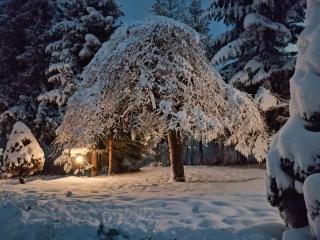 Willa Cieszynianka - 6