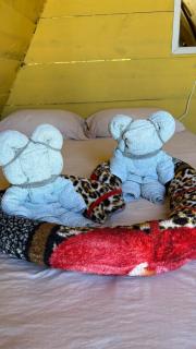 Camping Gnomo Místico - 8