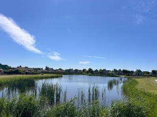 Bungalow de Oranje Tulp - 6