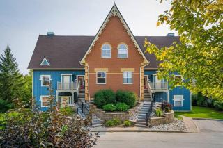 The Woodlands Haus - Shuttle to the Village - 7